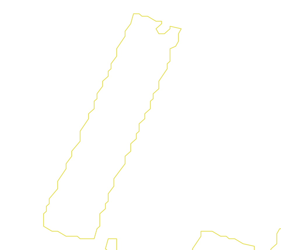Daksegment met contourlijnen en structuurweergave
