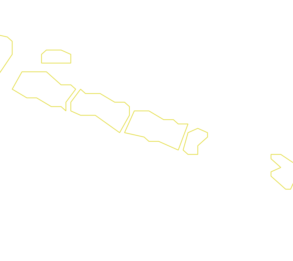 Daksegment ingezoomd met contourlijnen en structuurweergave