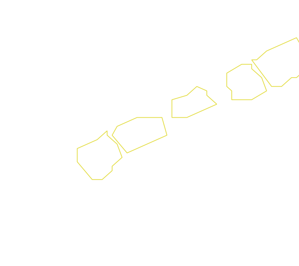 Daksegment ingezoomd met contourlijnen en structuurweergave