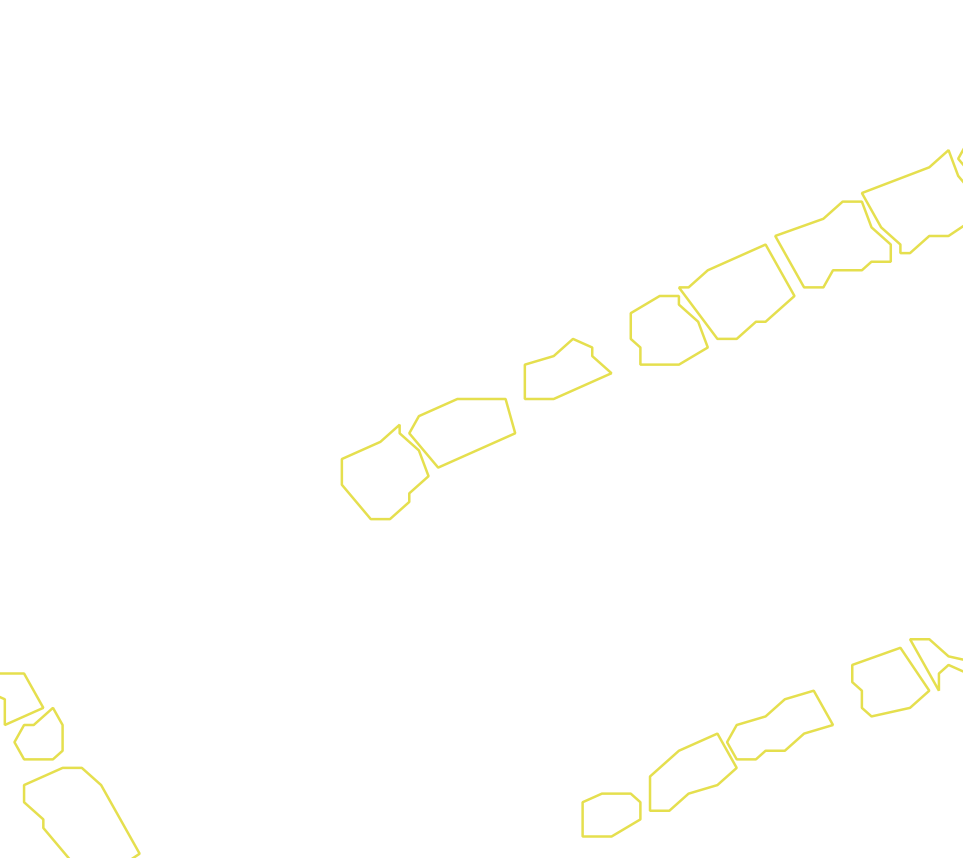 Daksegment met contourlijnen en structuurweergave