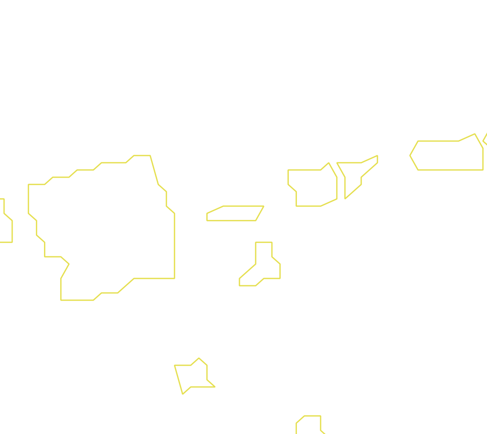 Daksegment ingezoomd met contourlijnen en structuurweergave