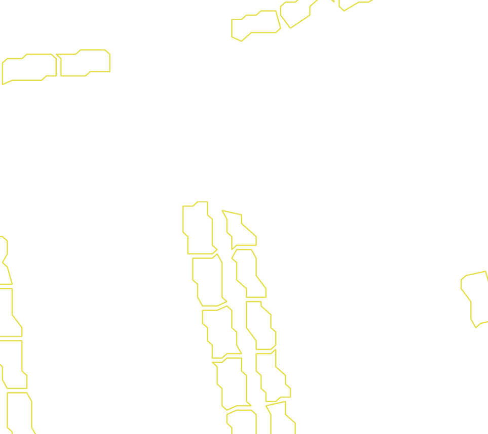 Daksegment met contourlijnen en structuurweergave