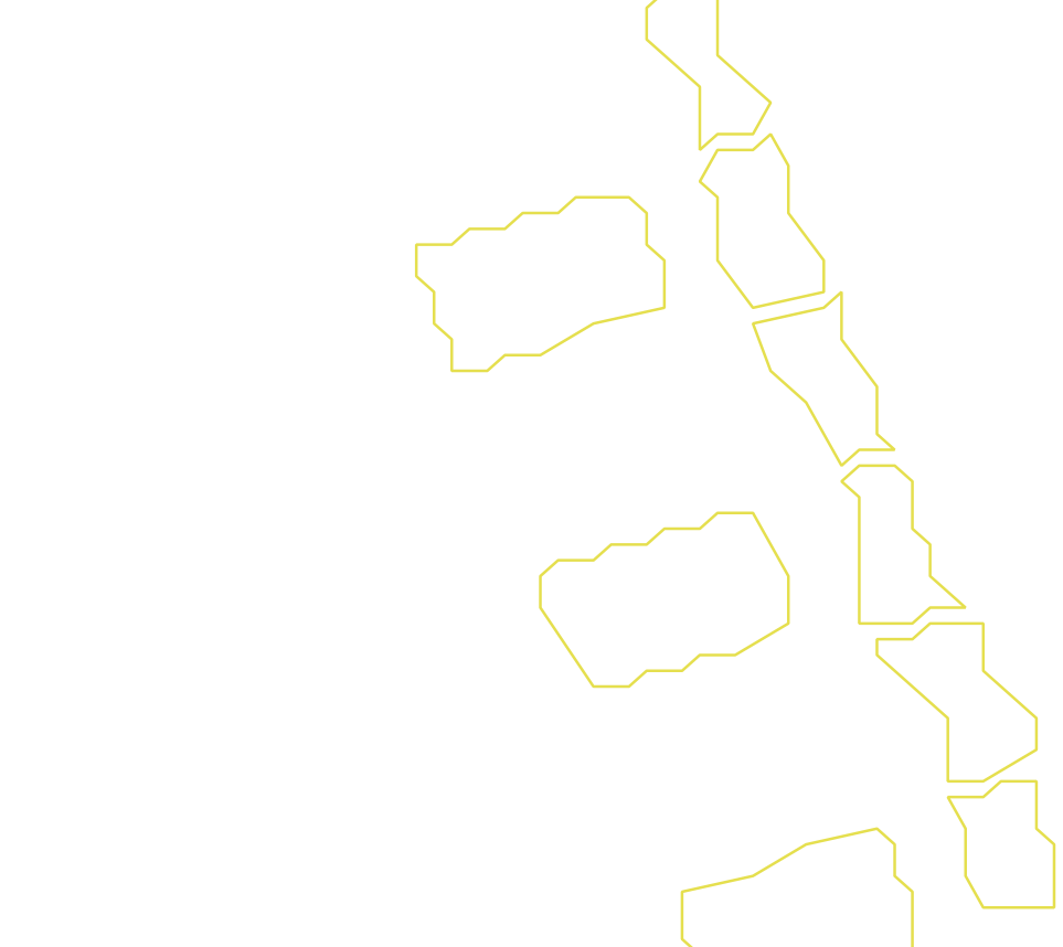 Daksegment ingezoomd met contourlijnen en structuurweergave