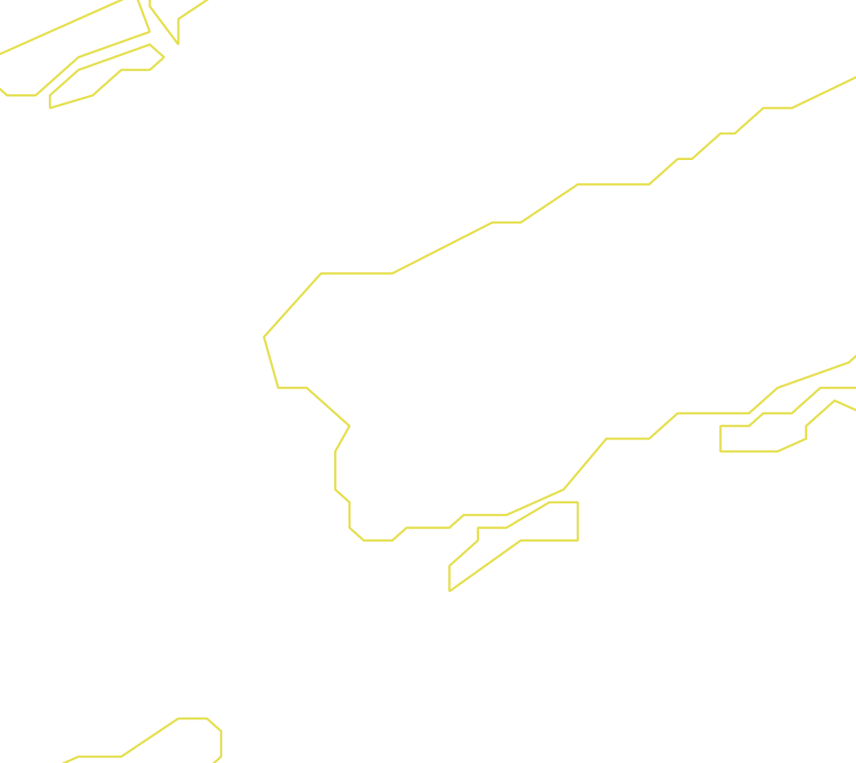 Daksegment ingezoomd met contourlijnen en structuurweergave