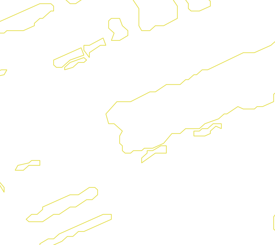 Daksegment met contourlijnen en structuurweergave