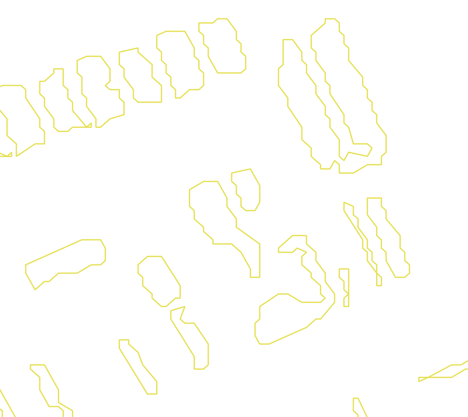Daksegment met contourlijnen en structuurweergave