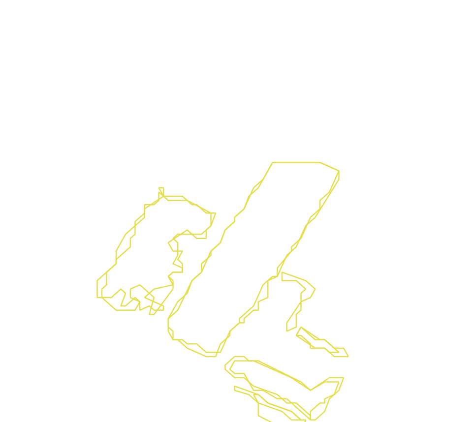 Daksegment met contourlijnen en structuurweergave