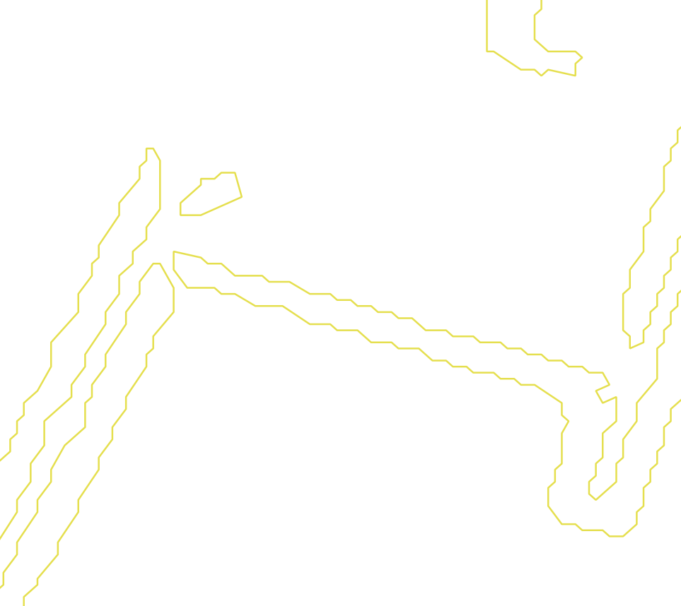 Daksegment met contourlijnen en structuurweergave