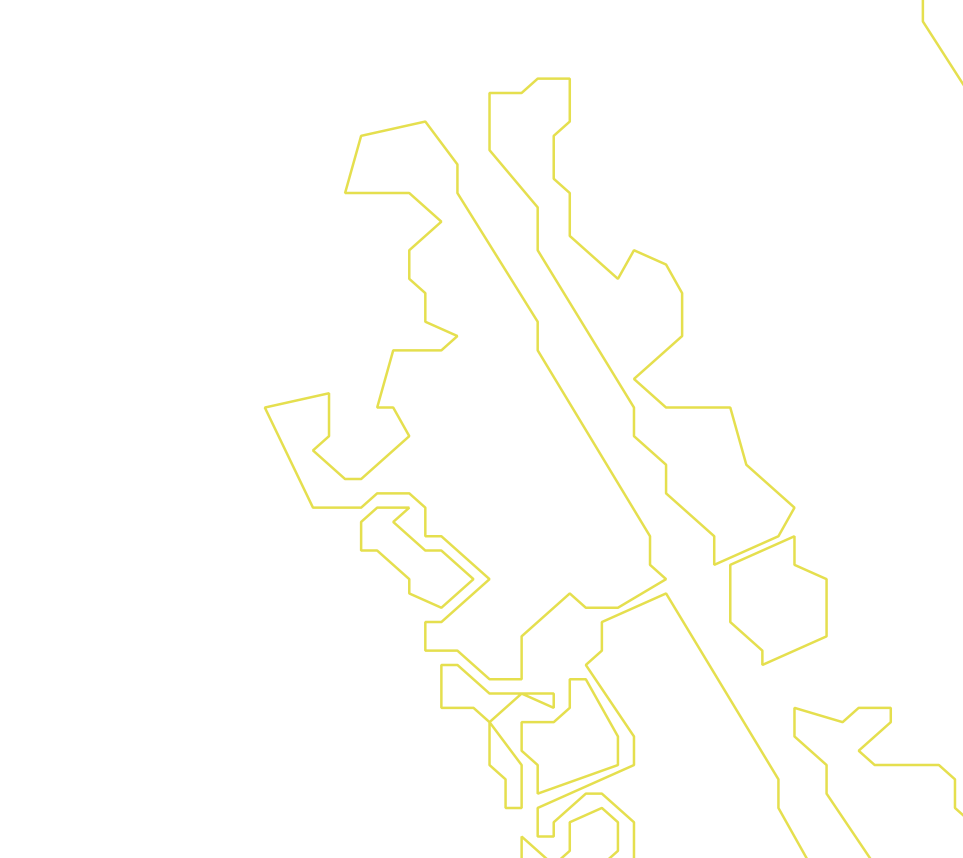 Daksegment ingezoomd met contourlijnen en structuurweergave