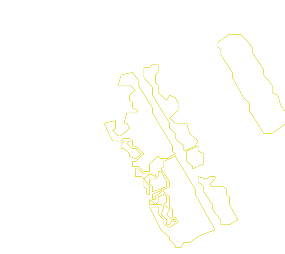 Daksegment met contourlijnen en structuurweergave