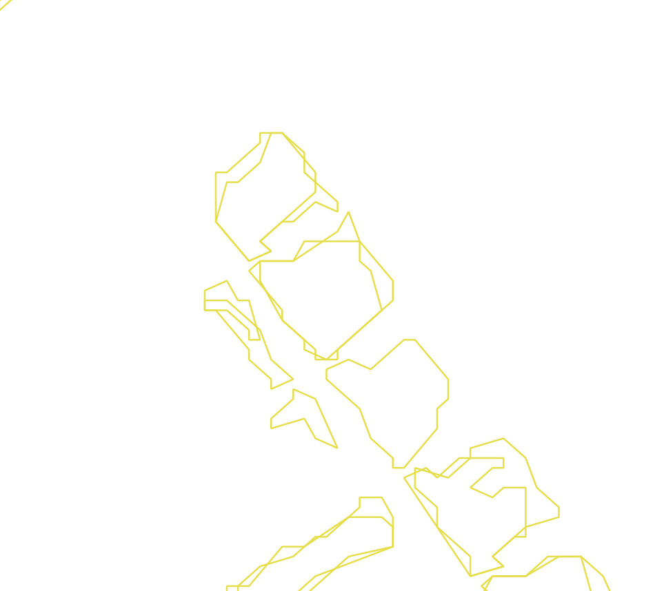 Daksegment ingezoomd met contourlijnen en structuurweergave