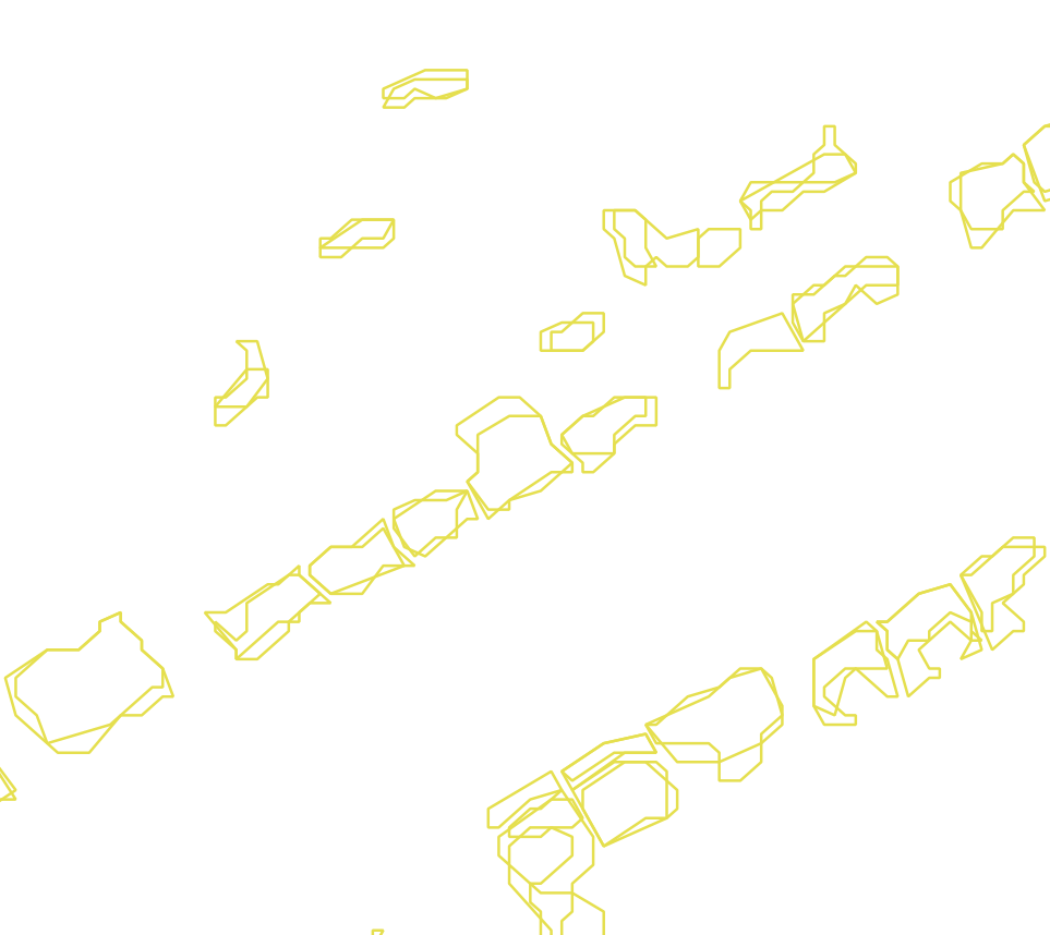 Daksegment met contourlijnen en structuurweergave