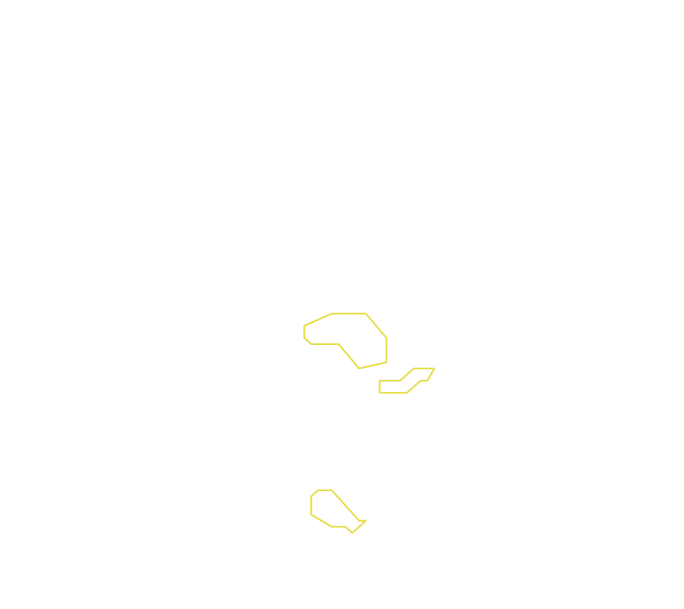 Daksegment met contourlijnen en structuurweergave