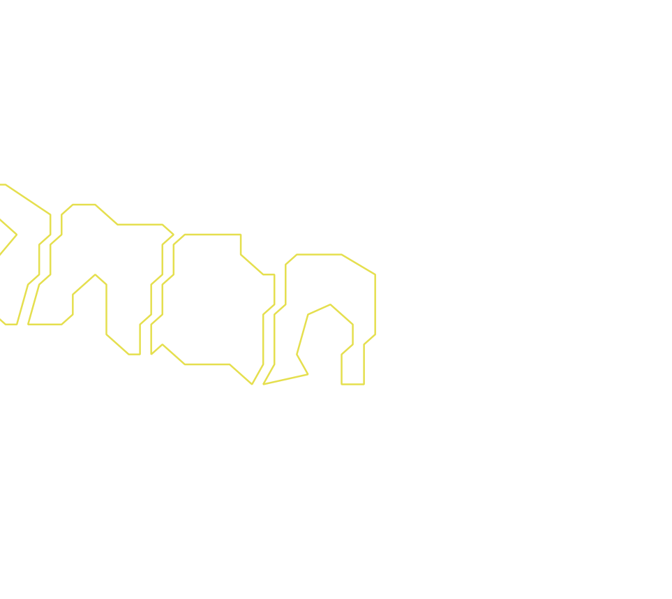 Daksegment ingezoomd met contourlijnen en structuurweergave