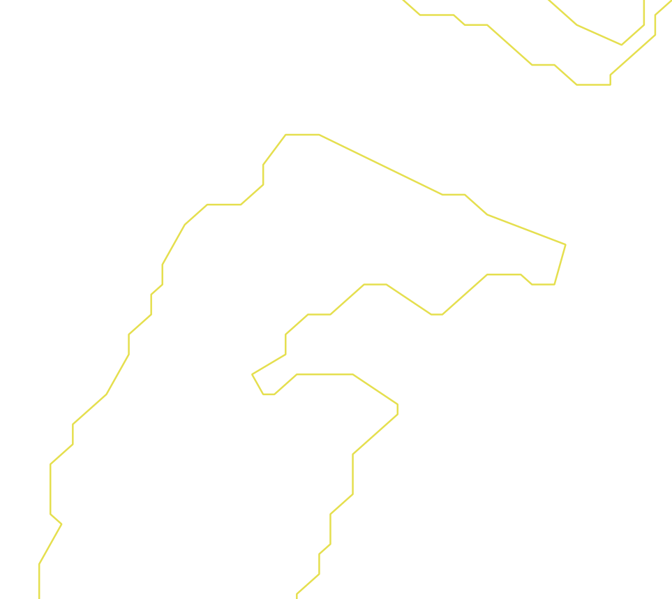 Daksegment ingezoomd met contourlijnen en structuurweergave