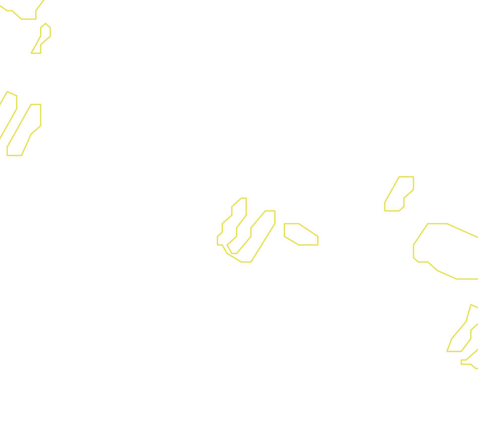 Daksegment met contourlijnen en structuurweergave