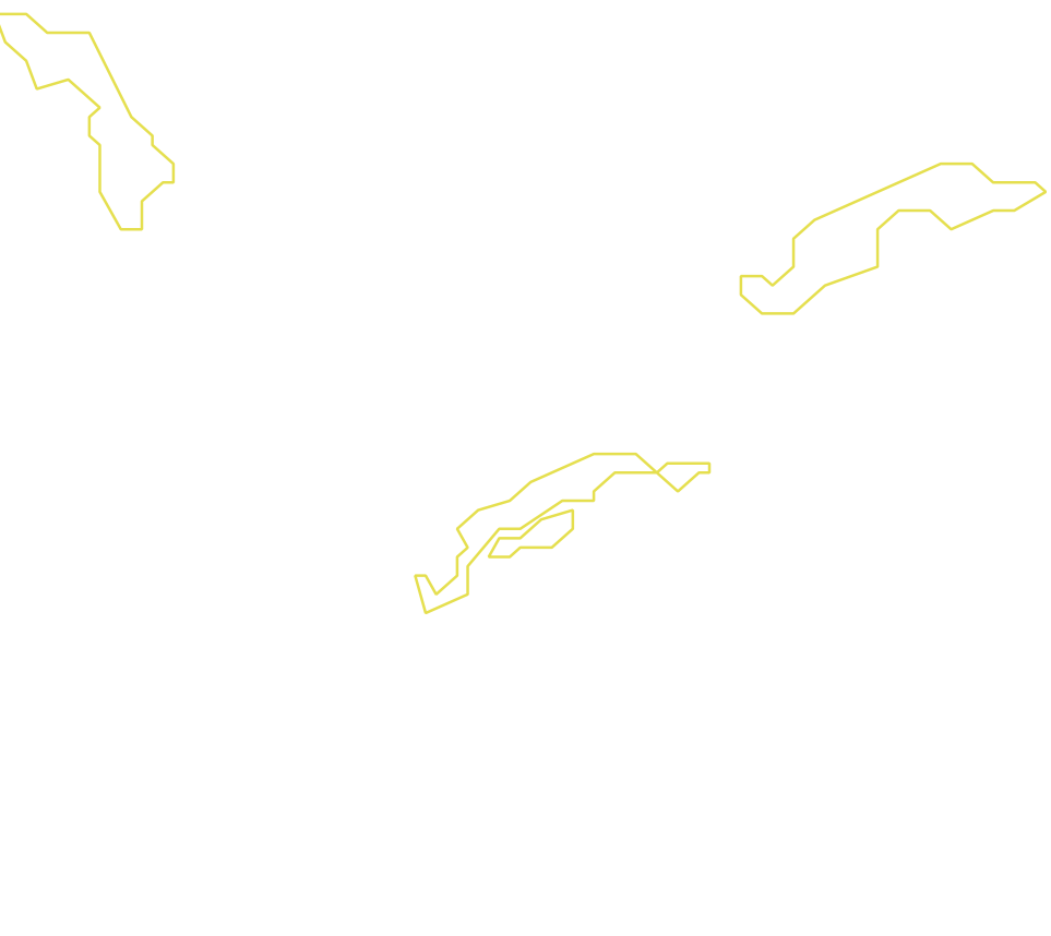 Daksegment met contourlijnen en structuurweergave