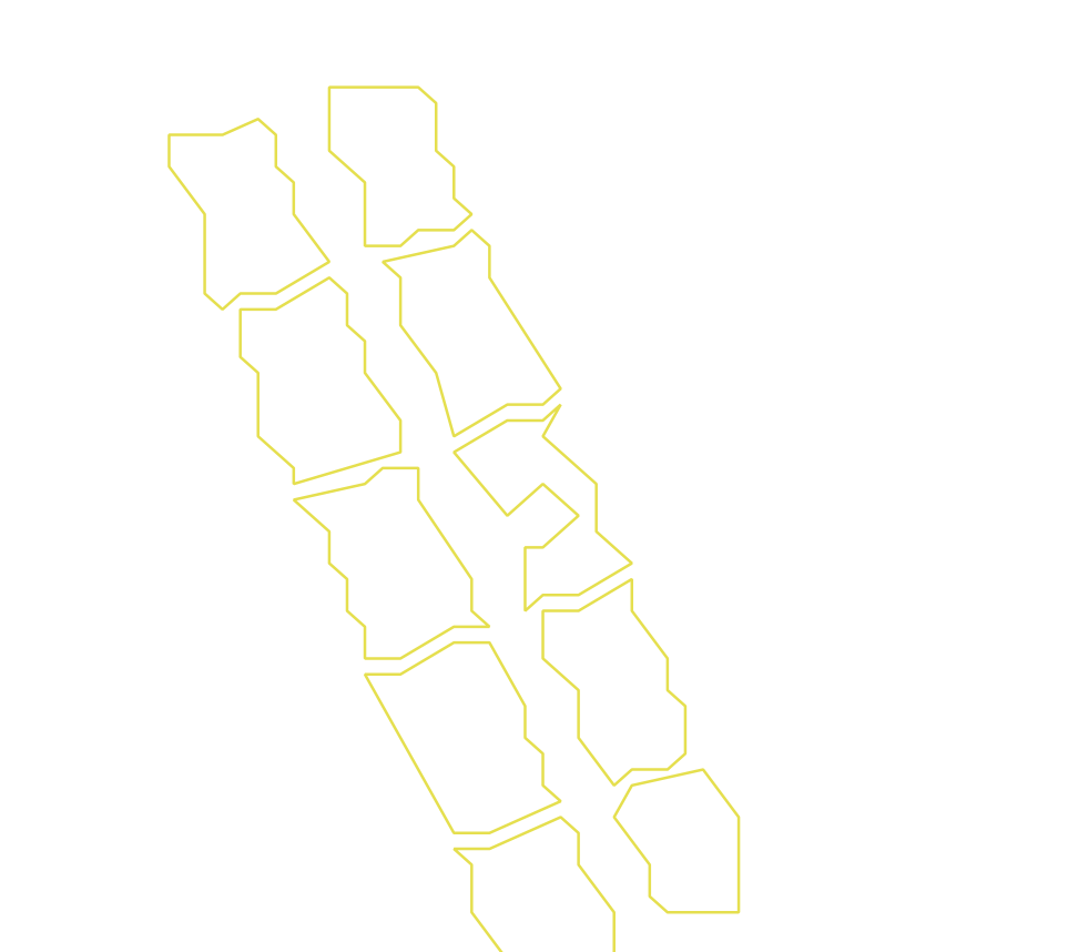 Daksegment ingezoomd met contourlijnen en structuurweergave