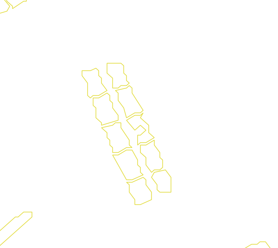 Daksegment met contourlijnen en structuurweergave