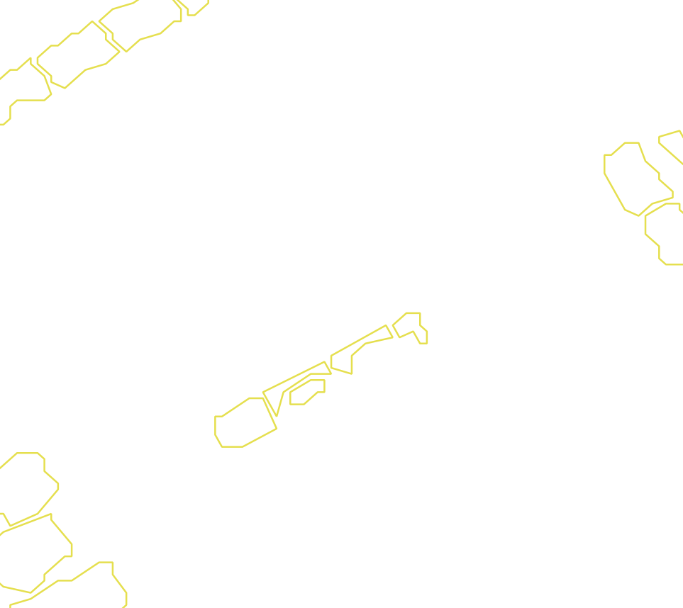 Daksegment met contourlijnen en structuurweergave