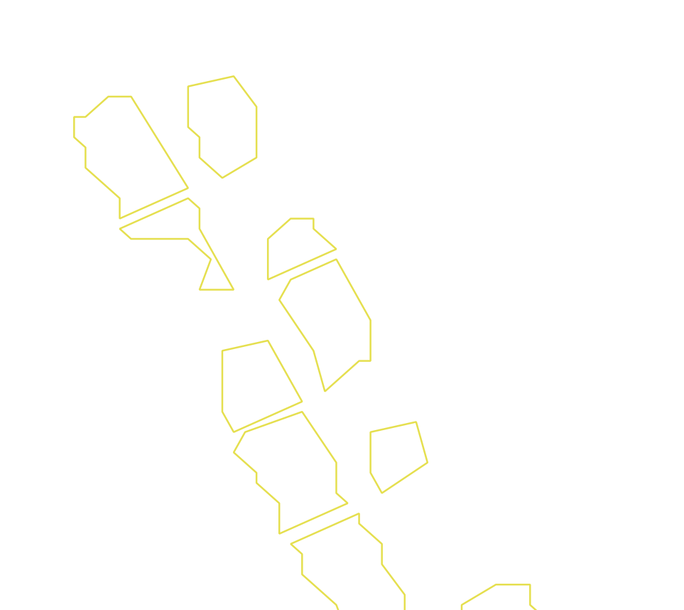 Daksegment ingezoomd met contourlijnen en structuurweergave