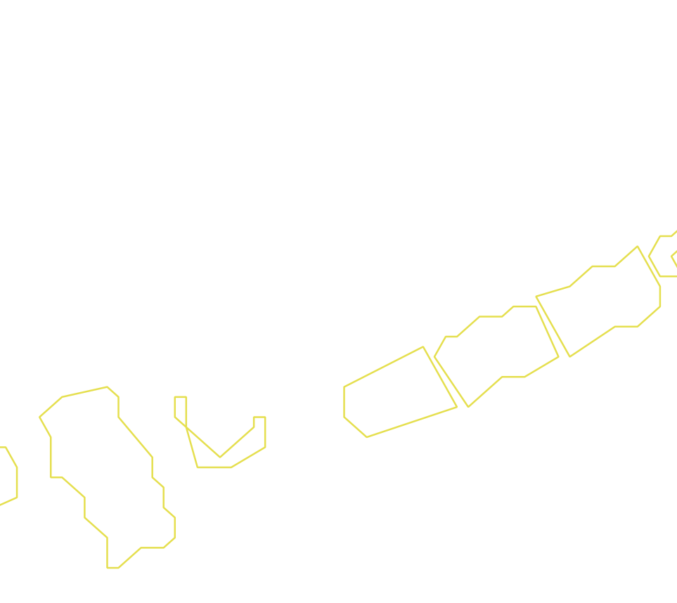 Daksegment ingezoomd met contourlijnen en structuurweergave