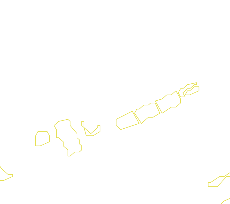 Daksegment met contourlijnen en structuurweergave