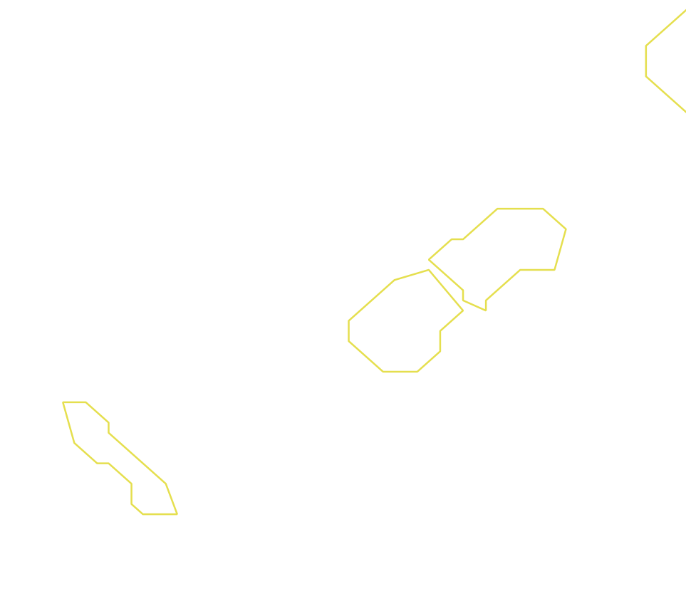 Daksegment ingezoomd met contourlijnen en structuurweergave