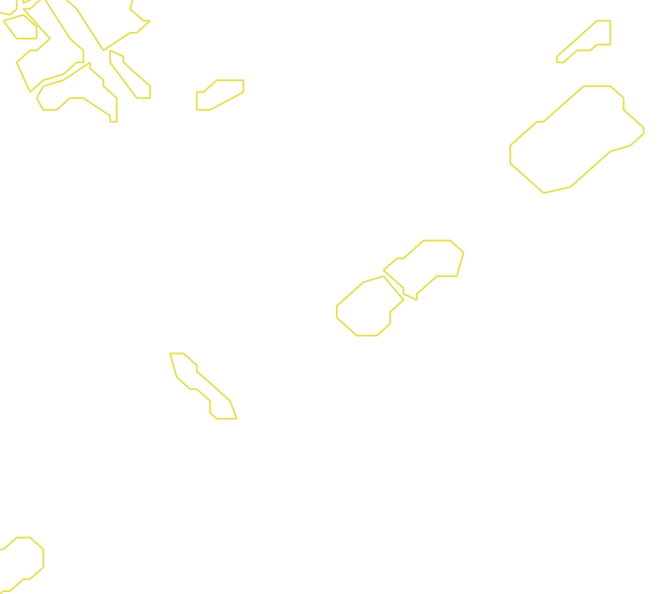 Daksegment met contourlijnen en structuurweergave