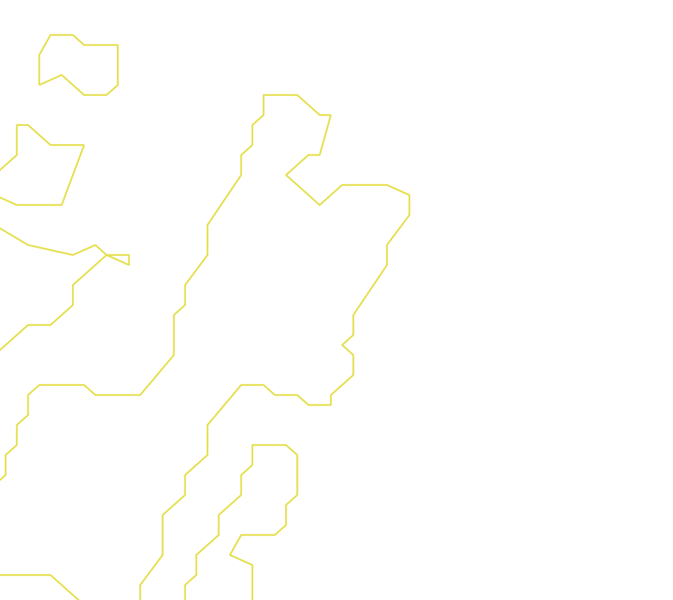 Daksegment ingezoomd met contourlijnen en structuurweergave