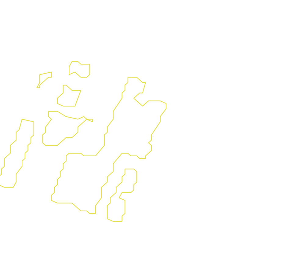Daksegment met contourlijnen en structuurweergave
