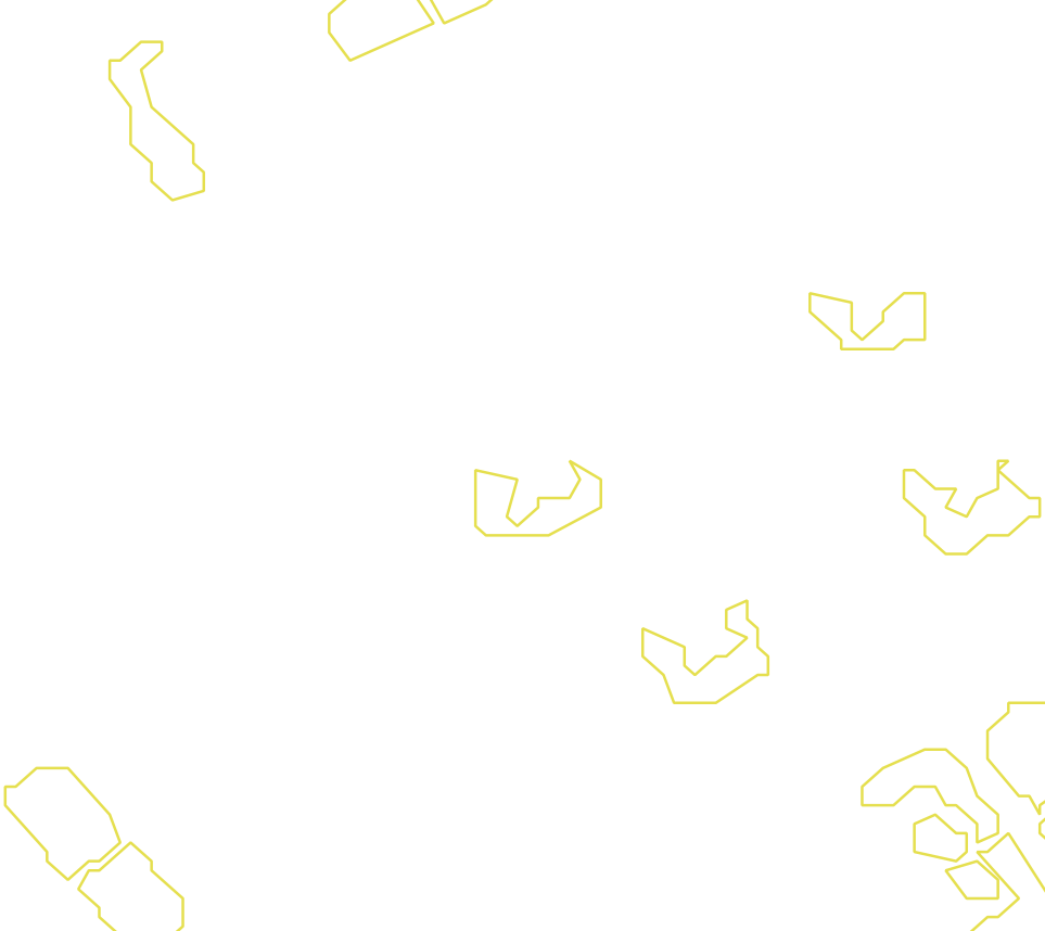 Daksegment met contourlijnen en structuurweergave