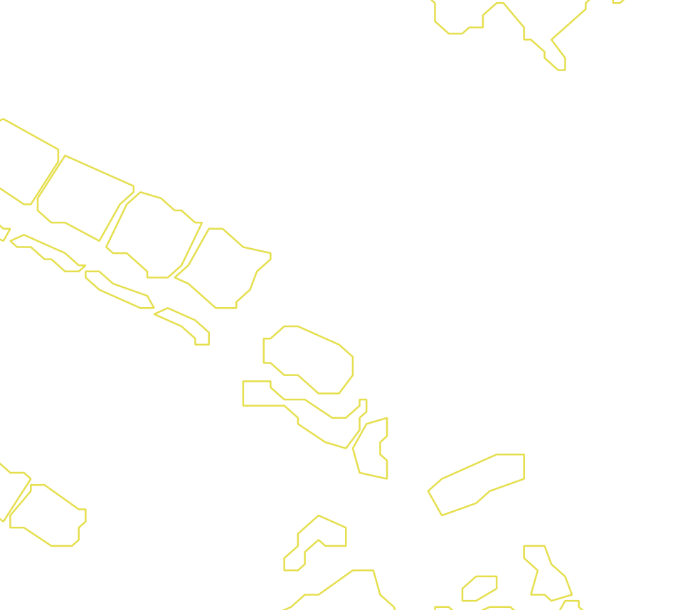 Daksegment met contourlijnen en structuurweergave