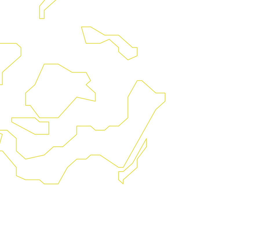 Daksegment ingezoomd met contourlijnen en structuurweergave