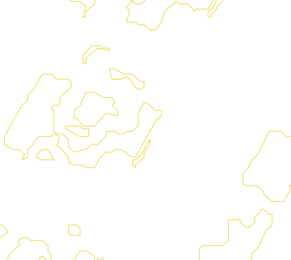 Daksegment met contourlijnen en structuurweergave