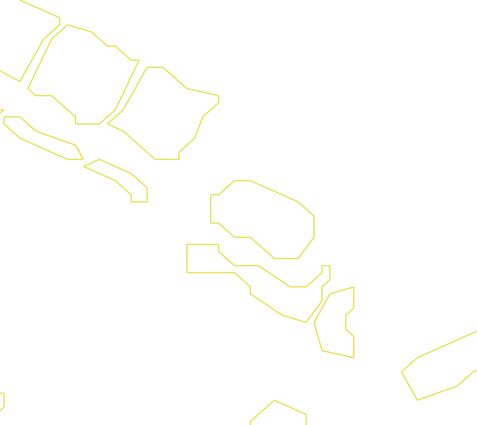 Daksegment ingezoomd met contourlijnen en structuurweergave