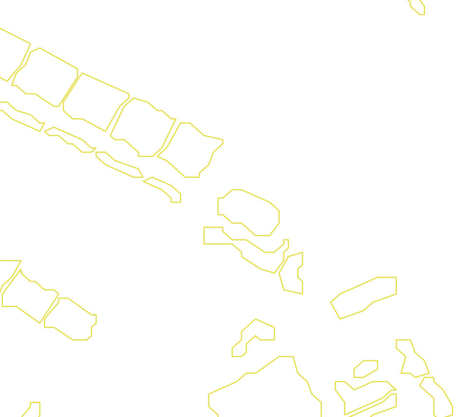 Daksegment met contourlijnen en structuurweergave