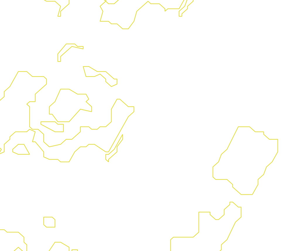 Daksegment met contourlijnen en structuurweergave