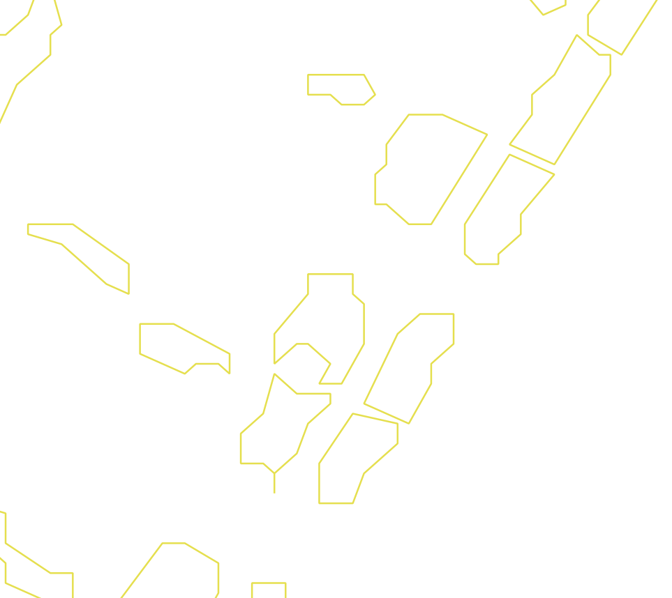 Daksegment ingezoomd met contourlijnen en structuurweergave