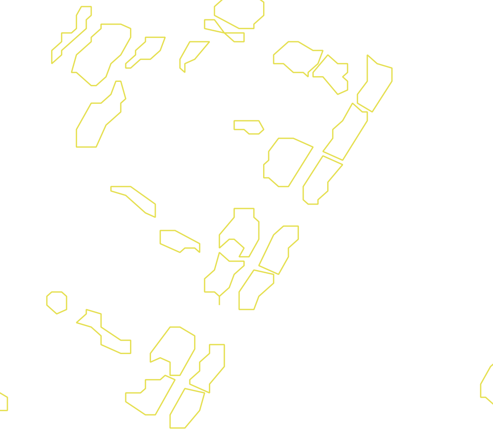 Daksegment met contourlijnen en structuurweergave
