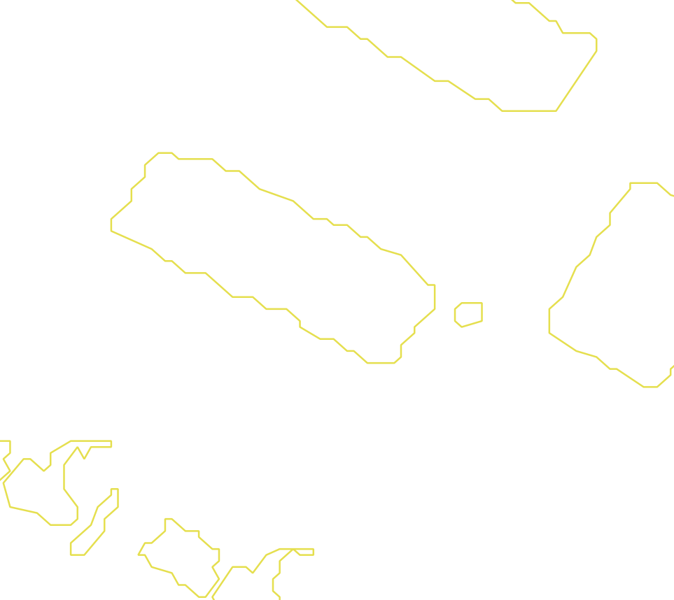 Daksegment met contourlijnen en structuurweergave