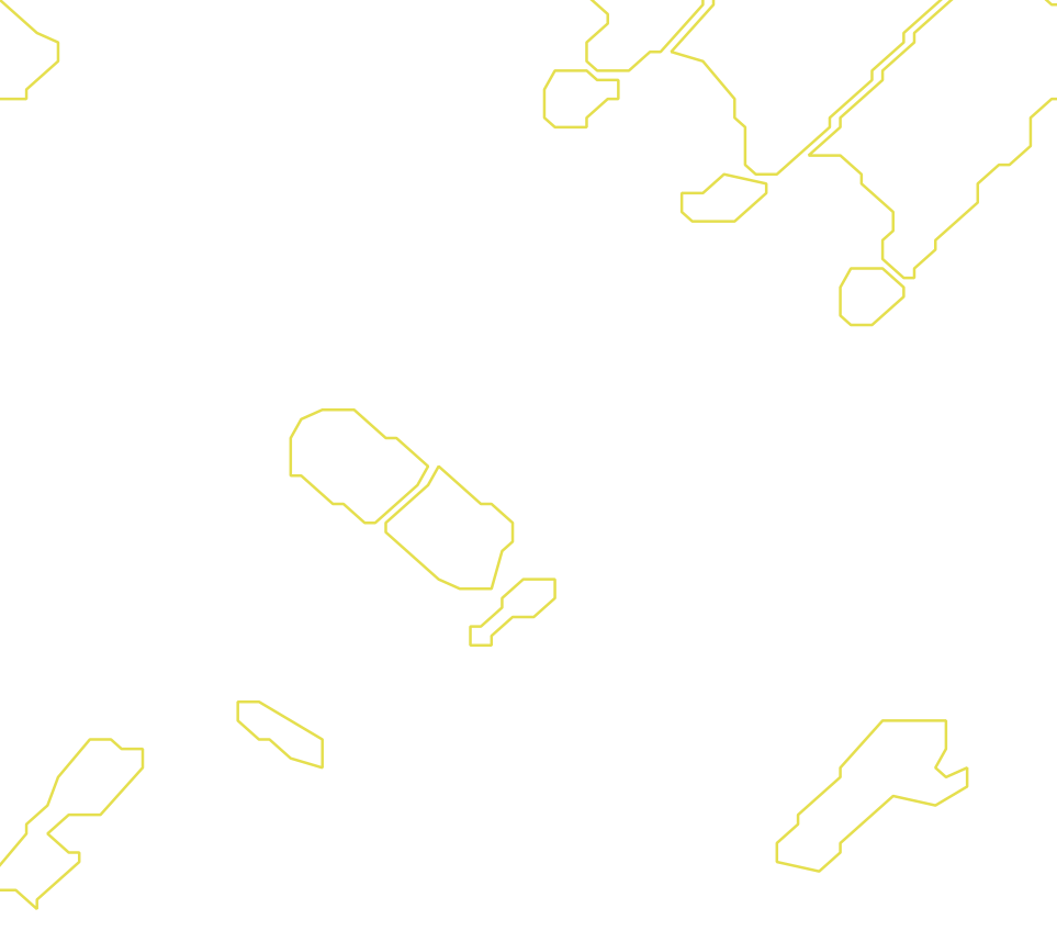 Daksegment met contourlijnen en structuurweergave