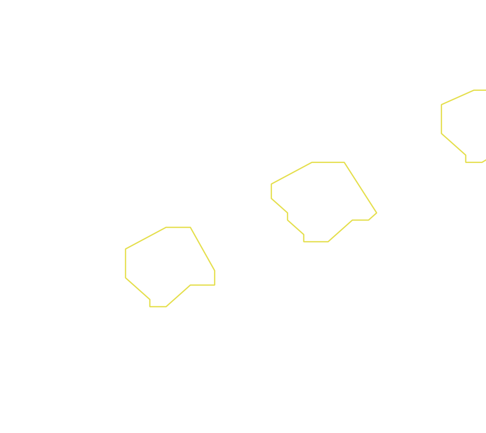 Daksegment ingezoomd met contourlijnen en structuurweergave