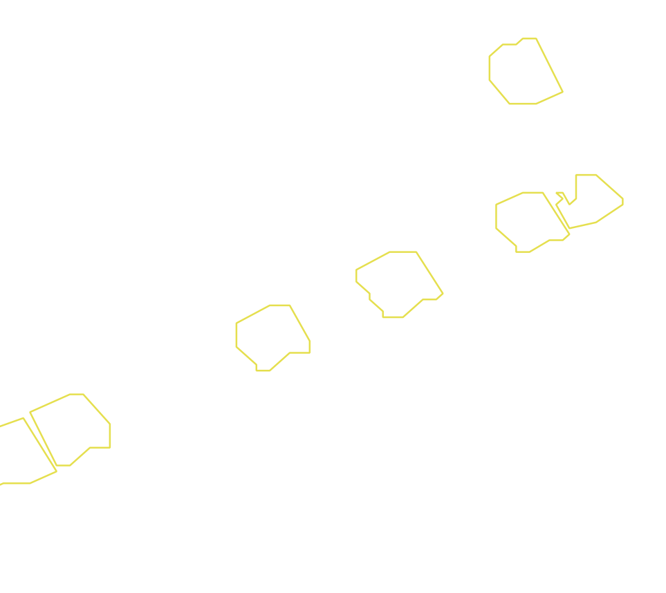 Daksegment met contourlijnen en structuurweergave
