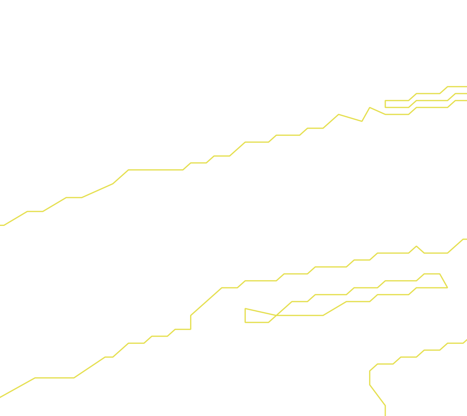 Daksegment ingezoomd met contourlijnen en structuurweergave