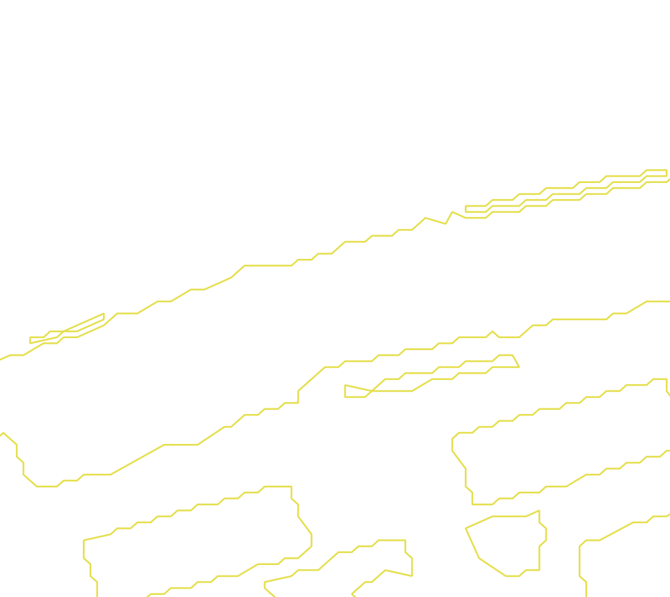 Daksegment met contourlijnen en structuurweergave