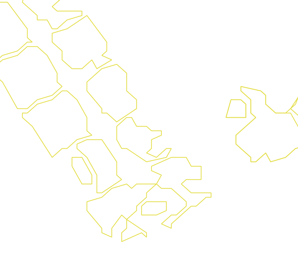 Daksegment ingezoomd met contourlijnen en structuurweergave
