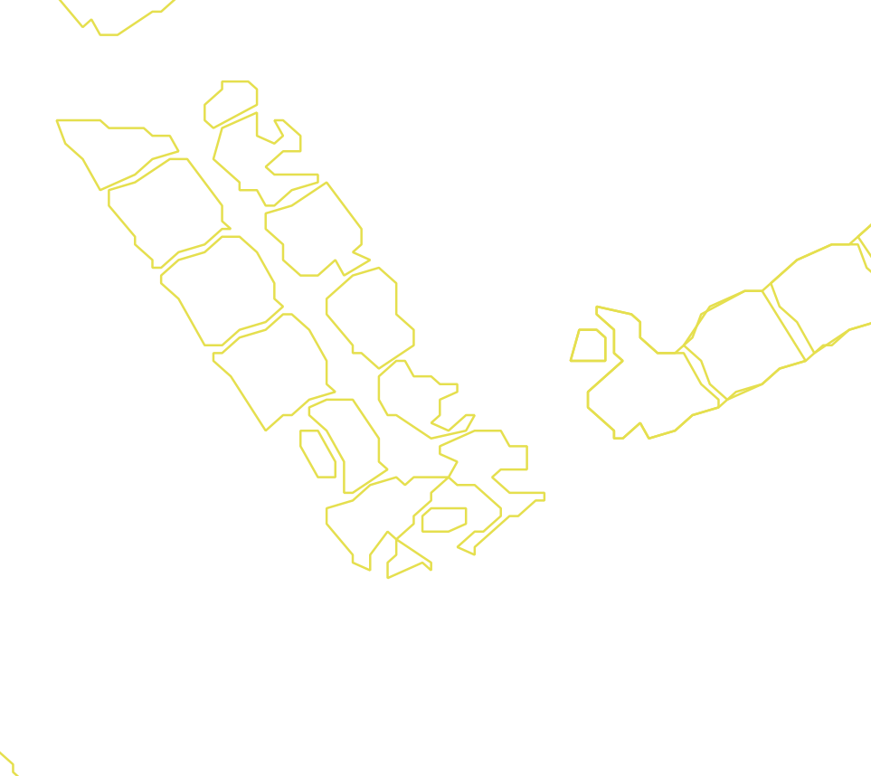 Daksegment met contourlijnen en structuurweergave