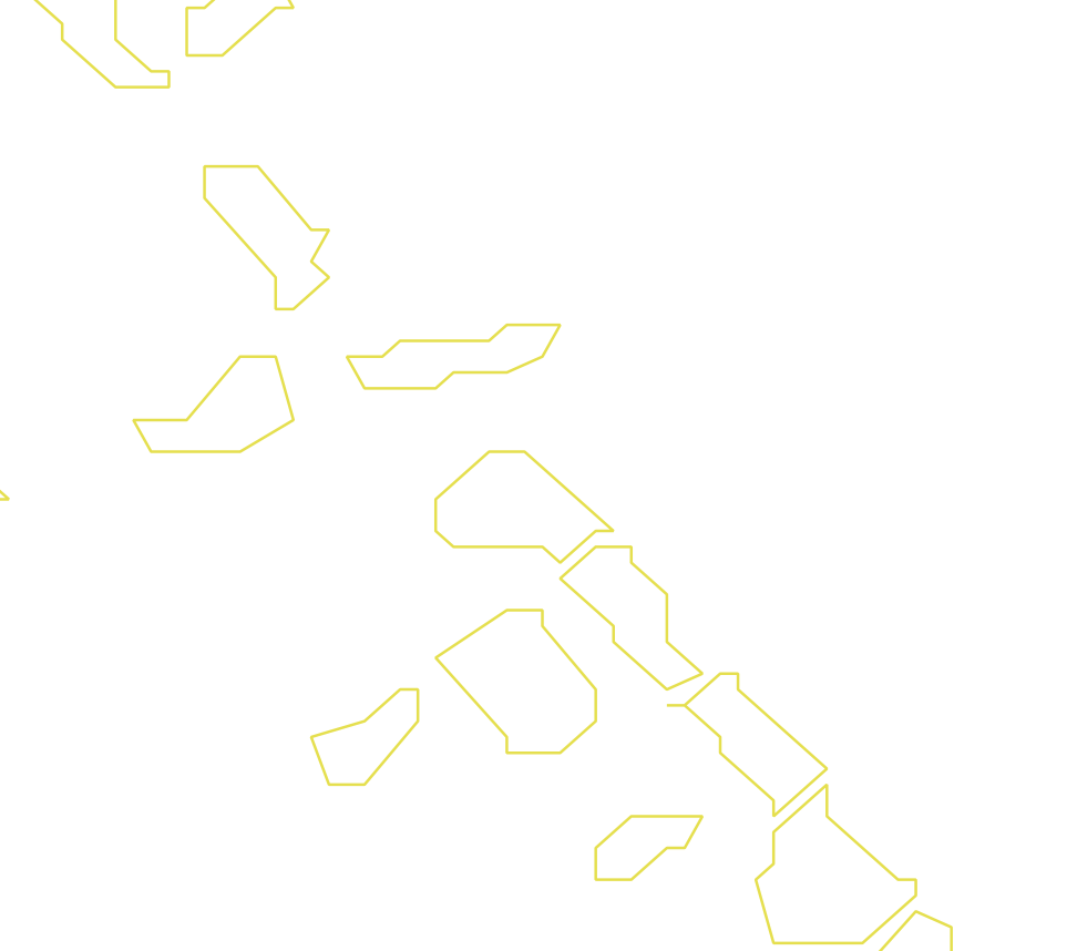 Daksegment ingezoomd met contourlijnen en structuurweergave