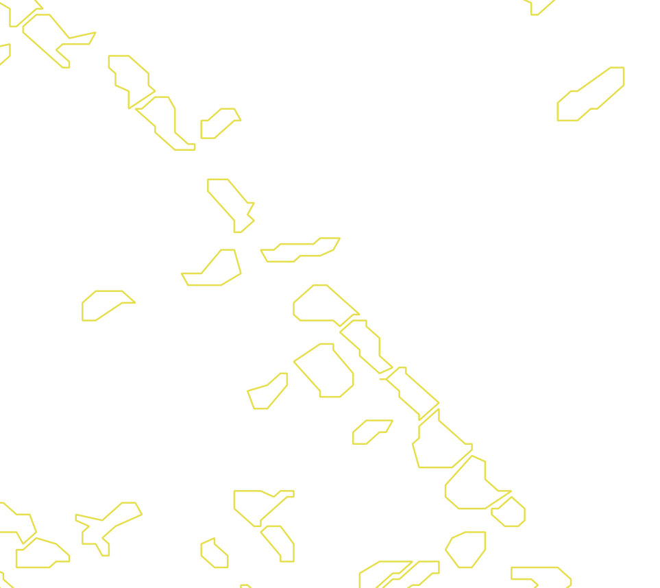 Daksegment met contourlijnen en structuurweergave